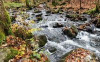 Holzbachschlucht 032