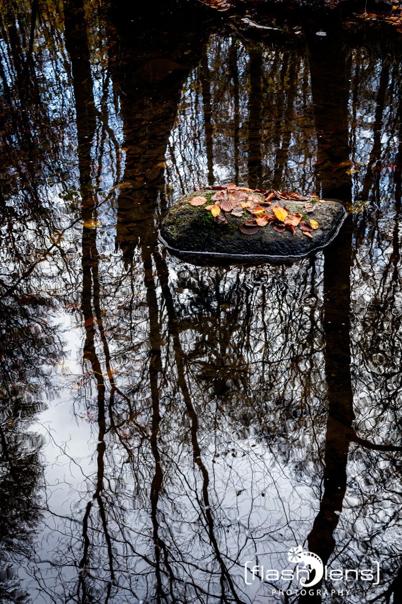 Holzbachschlucht 034