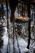 Holzbachschlucht 034