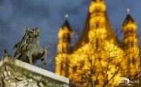 Koln 085