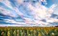 02 Haute Provence 010