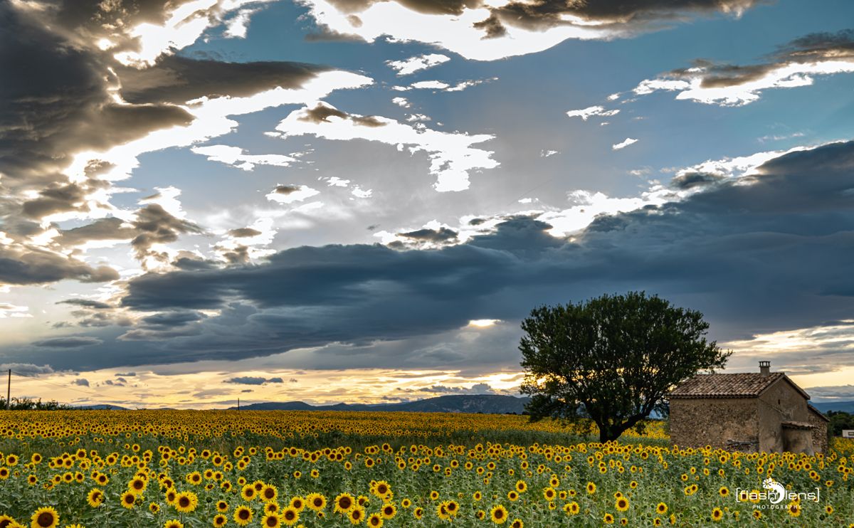 02 Haute Provence 012