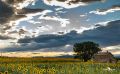 02 Haute Provence 012