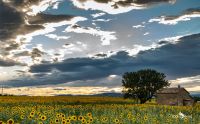 02 Haute Provence 012
