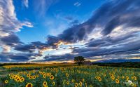 02 Haute Provence 015
