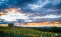 02 Haute Provence 016