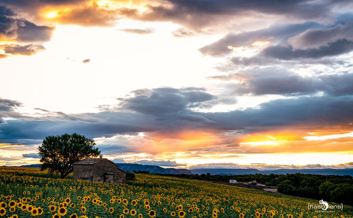 02 Haute Provence 017