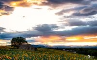 02 Haute Provence 017