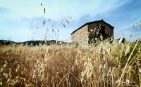 02 Haute Provence 019