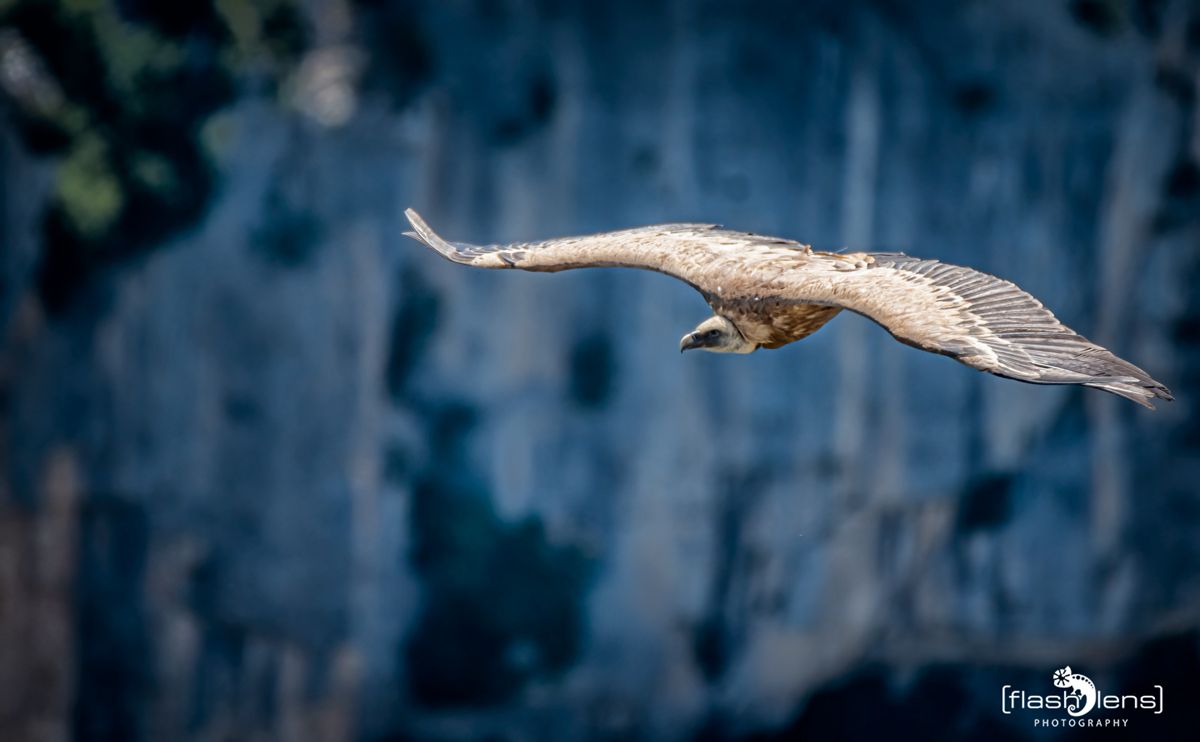 02 Haute Provence 020