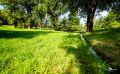 02 Haute Provence 024