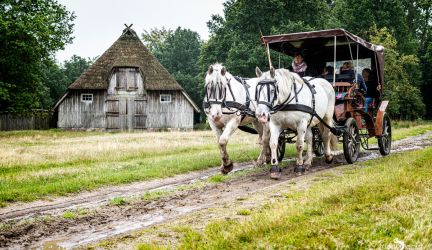 FotoFahrt Lüneburger Heide 2021