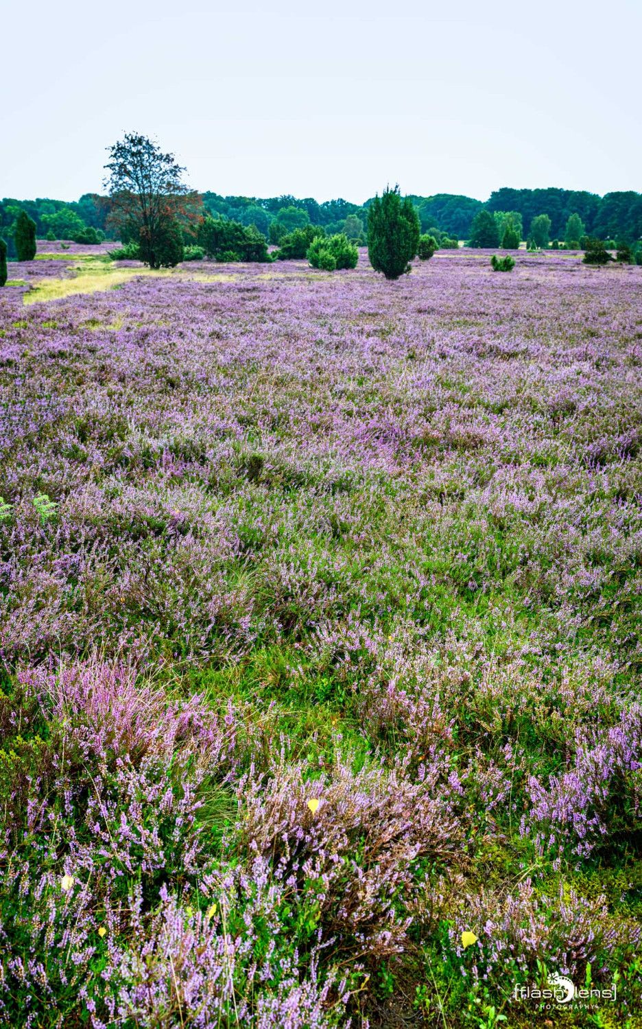 FotoFahrt Lueneburger Heide 2021 005