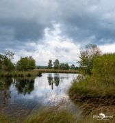 FotoFahrt Lueneburger Heide 2021 013
