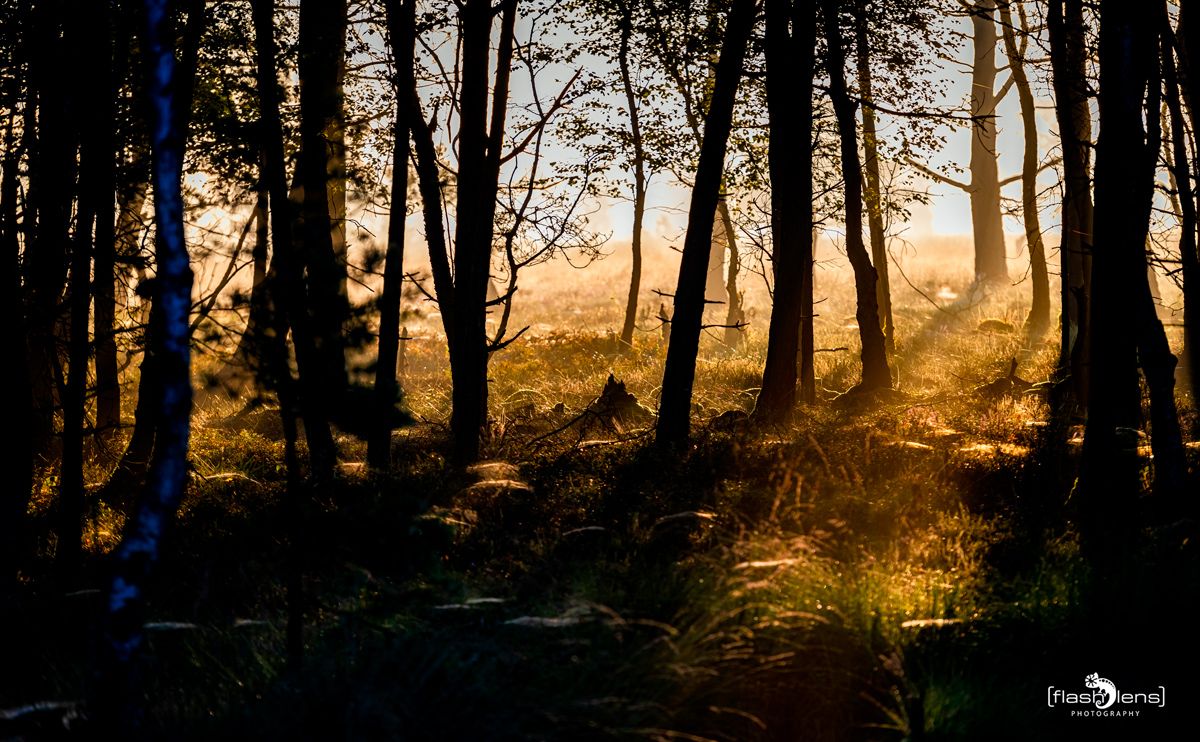 FotoFahrt Lueneburger Heide 2021 021
