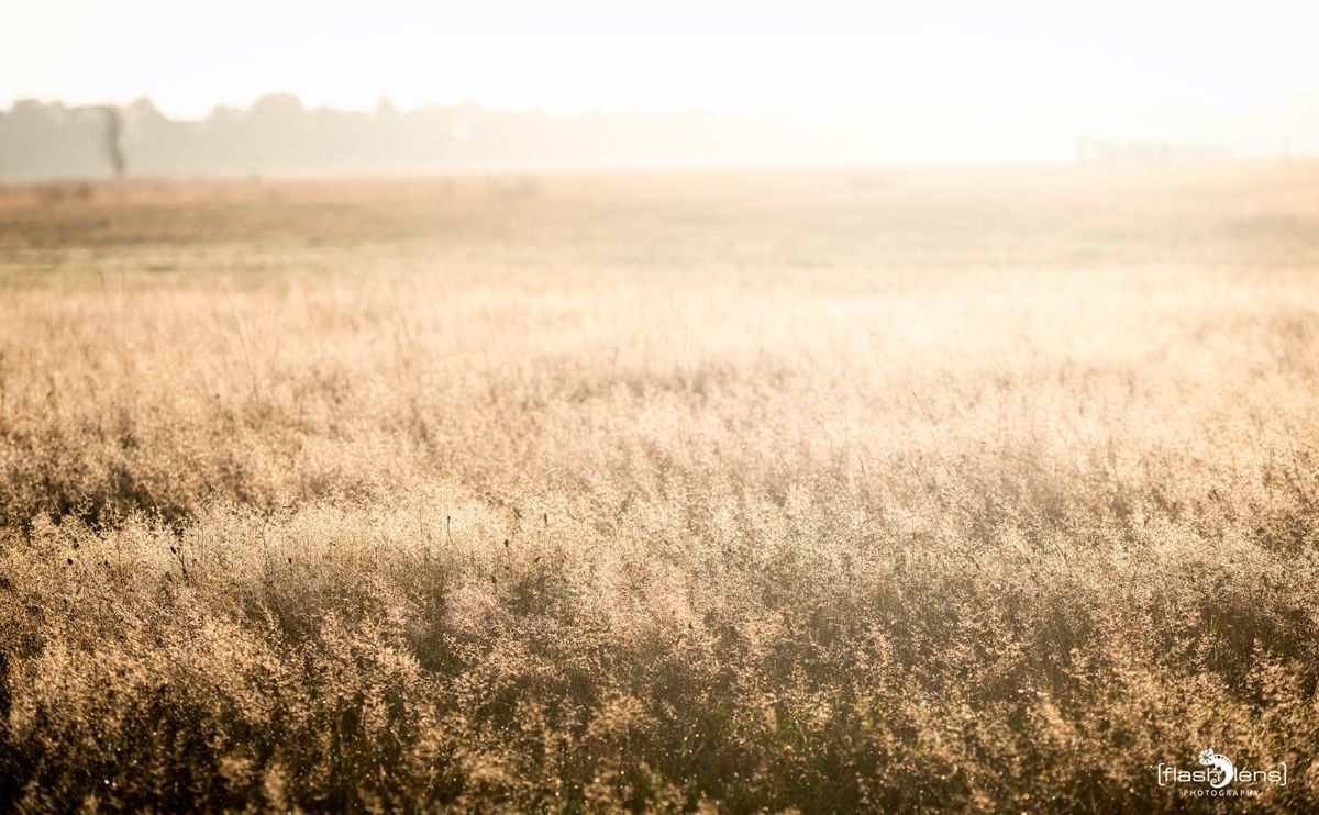 FotoFahrt Lueneburger Heide 2021 023