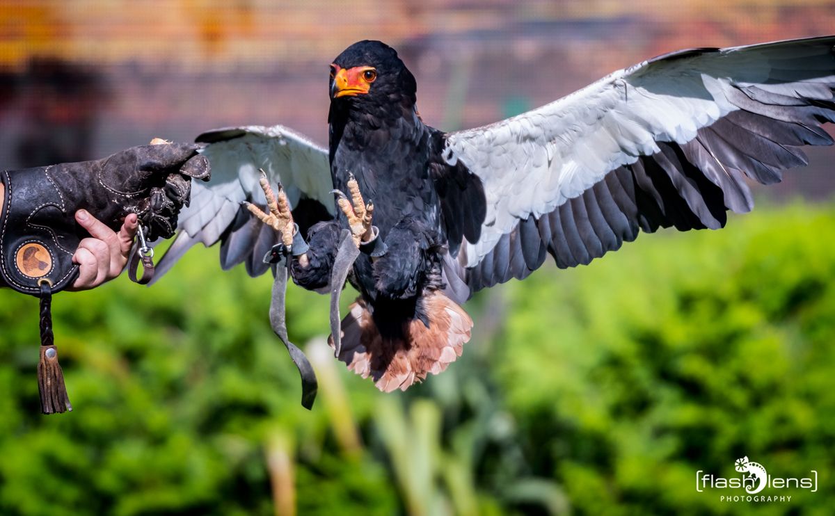 FotoFahrt Lueneburger Heide 2021 027
