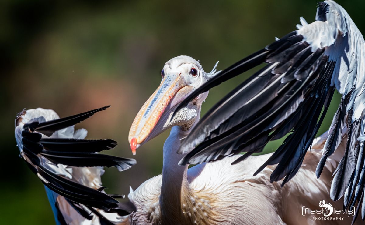 FotoFahrt Lueneburger Heide 2021 028