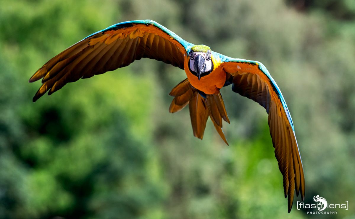 FotoFahrt Lueneburger Heide 2021 029