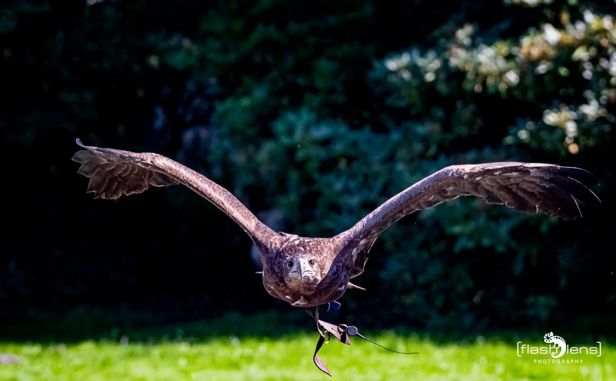 FotoFahrt Lueneburger Heide 2021 036
