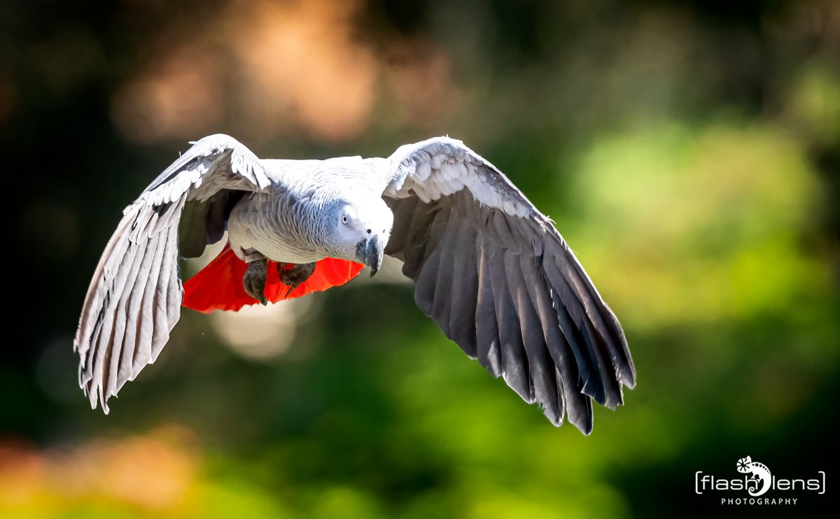 FotoFahrt Lueneburger Heide 2021 038
