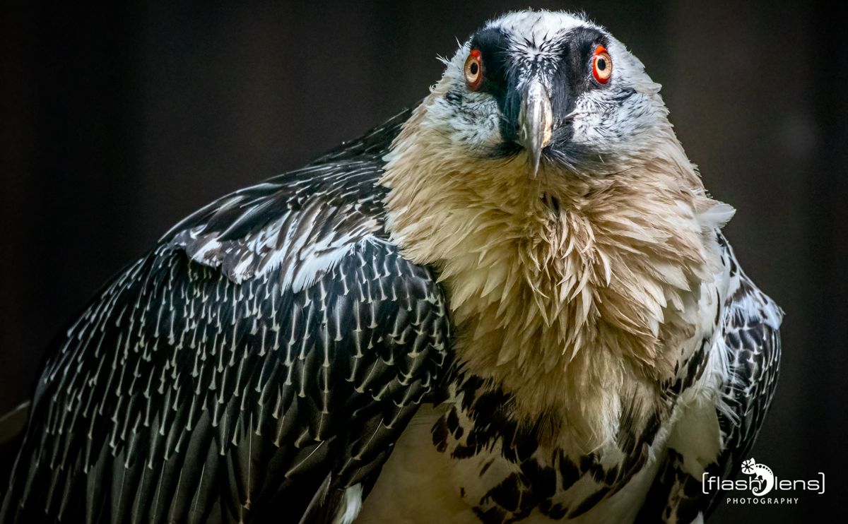 FotoFahrt Lueneburger Heide 2021 041