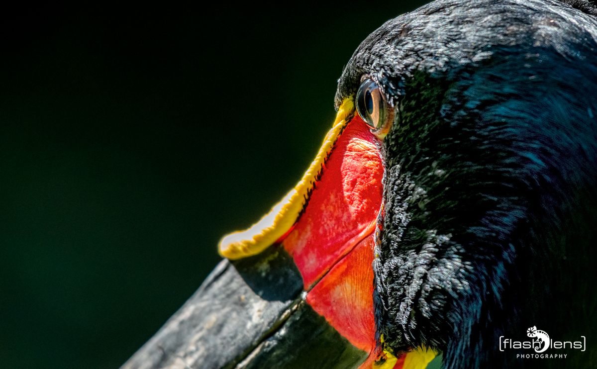 FotoFahrt Lueneburger Heide 2021 043