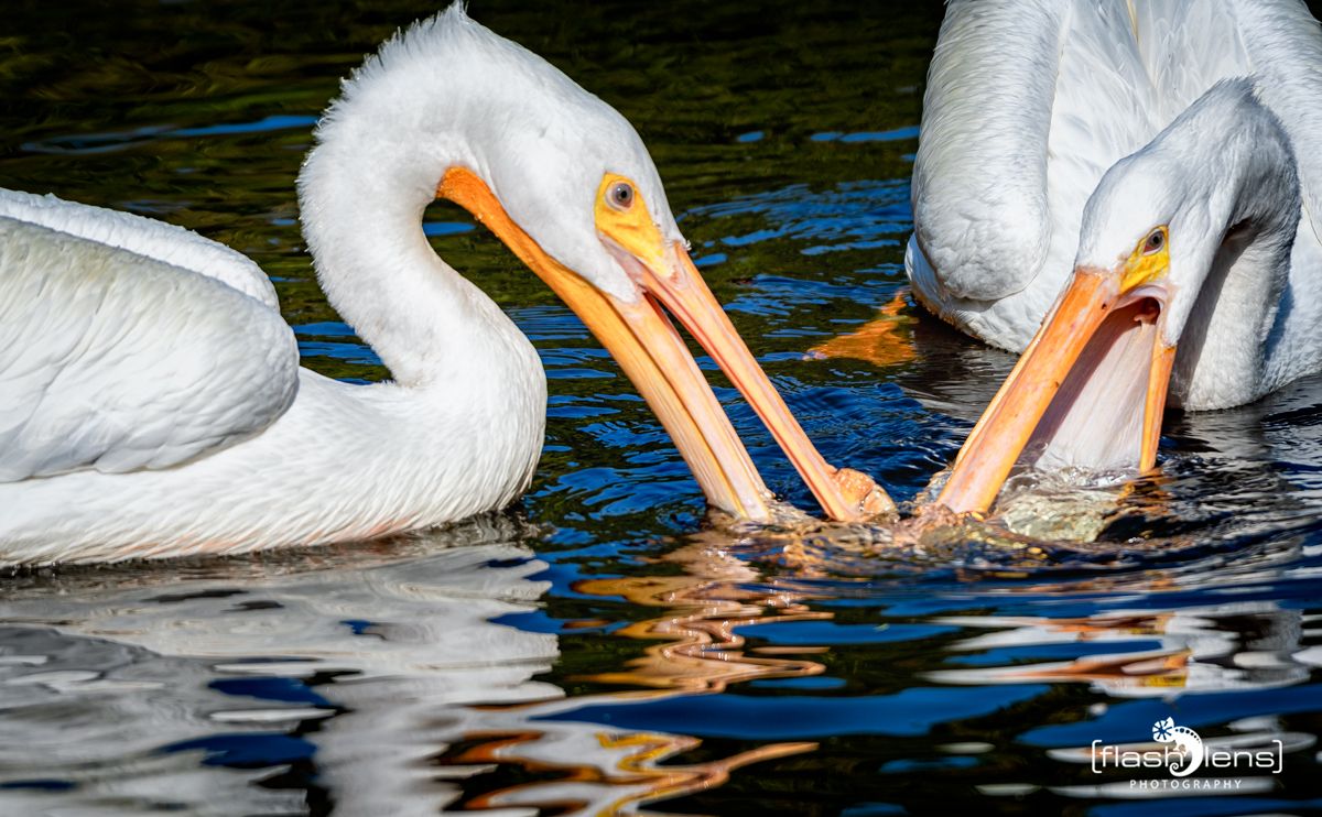 FotoFahrt Lueneburger Heide 2021 044