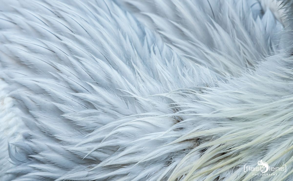 FotoFahrt Lueneburger Heide 2021 045