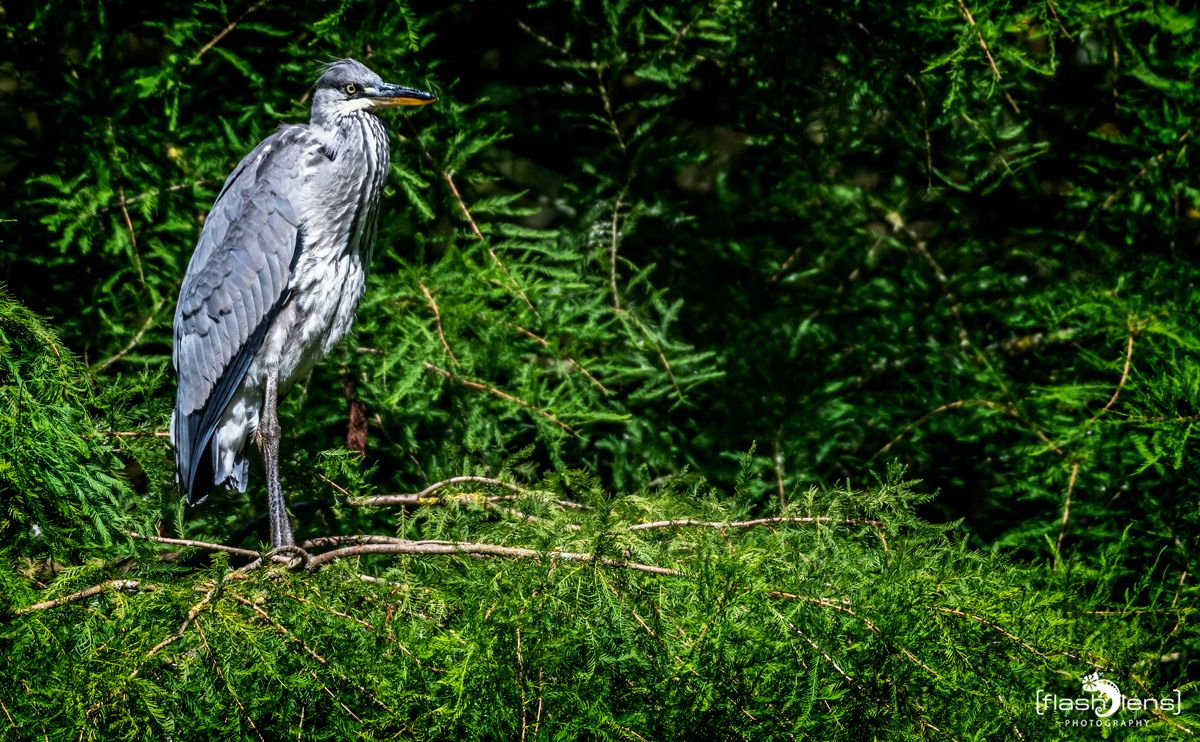 FotoFahrt Lueneburger Heide 2021 047