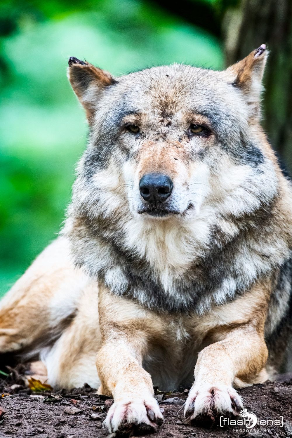 FotoFahrt Lueneburger Heide 2021 054