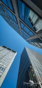 Frankfurt am Main 037