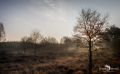 Wahner Heide 201