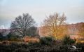 Wahner Heide 202