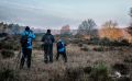 Wahner Heide 208