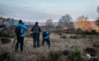 Wahner Heide 208