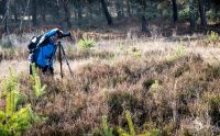 Wahner Heide 209