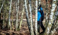 Wahner Heide 211
