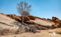 spitzkoppe 002
