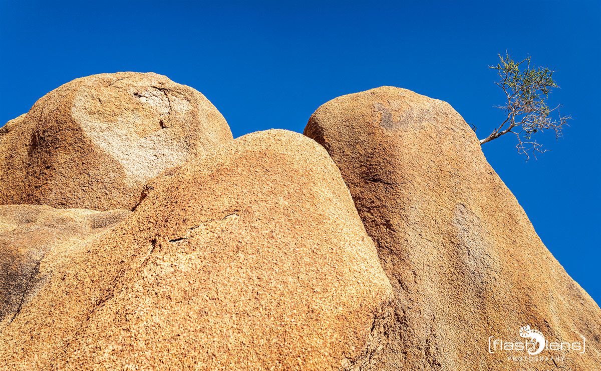spitzkoppe 007