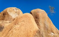 spitzkoppe 007