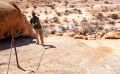 spitzkoppe 020