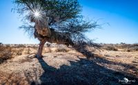 mariental 001