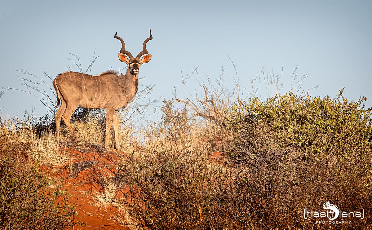 mariental 004