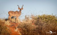 mariental 004
