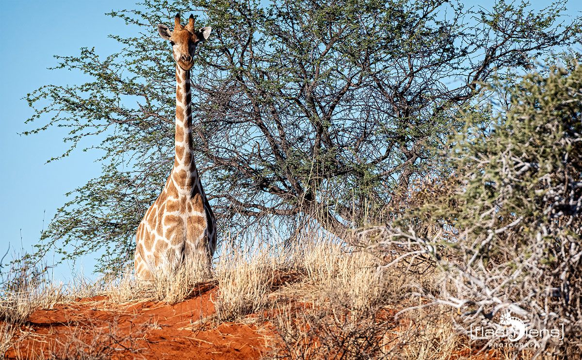 mariental 006