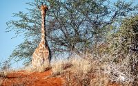 mariental 006