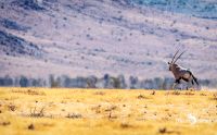 mariental 015