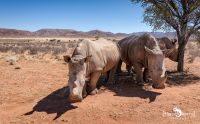 mariental 026