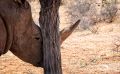mariental 027